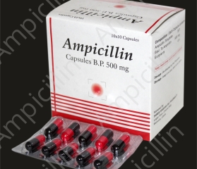 Ampicillin